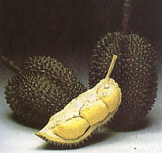 durian_monthong